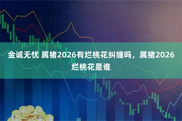 金诚无忧 属猪2026有烂桃花纠缠吗，属猪2026烂桃花是谁