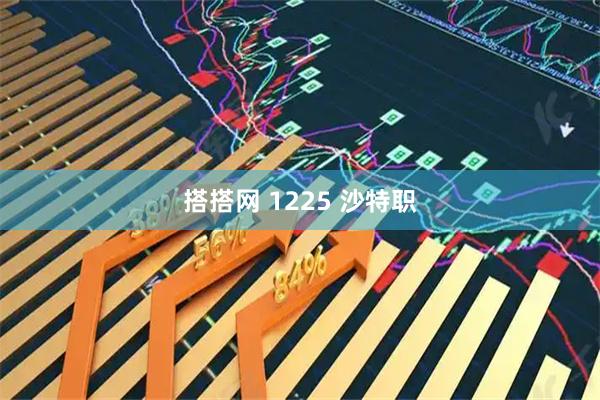 搭搭网 1225 沙特职