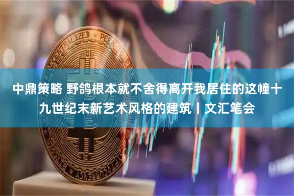 中鼎策略 野鸽根本就不舍得离开我居住的这幢十九世纪末新艺术风格的建筑丨文汇笔会